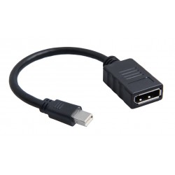 POWERTECH Μετατροπέας Mini DisplayPort σε Display Port, 0.20, μαύρος
