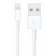APPLE καλώδιο USB σε Lightning MXLY2ZM-A, 1m, λευκό