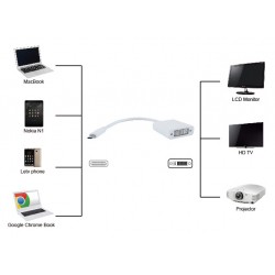 POWERTECH converter USB Type-C σε DVI PTH-036, 4K, λευκό
