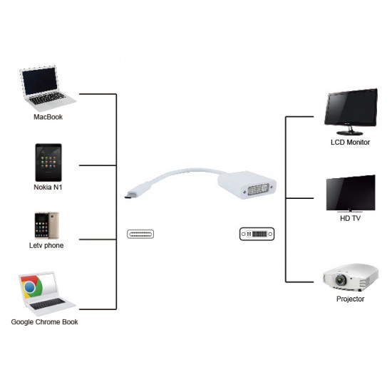 POWERTECH converter USB Type-C σε DVI PTH-036, 4K, λευκό
